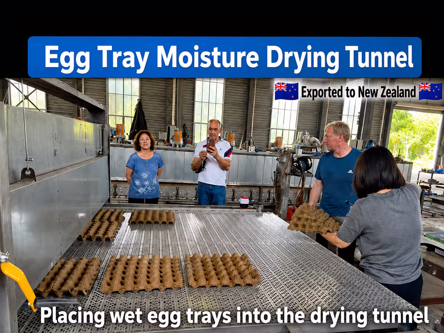 New Zealand egg tray drying project